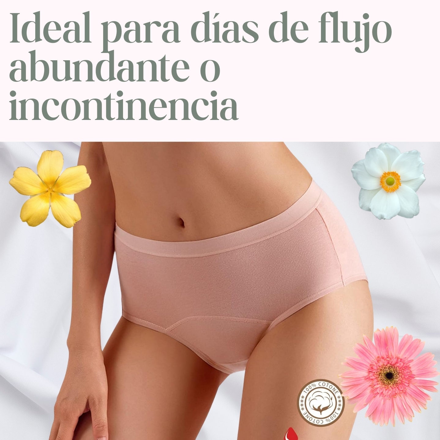 Interior para incontinencia y flujo menstrual (Pack x4)