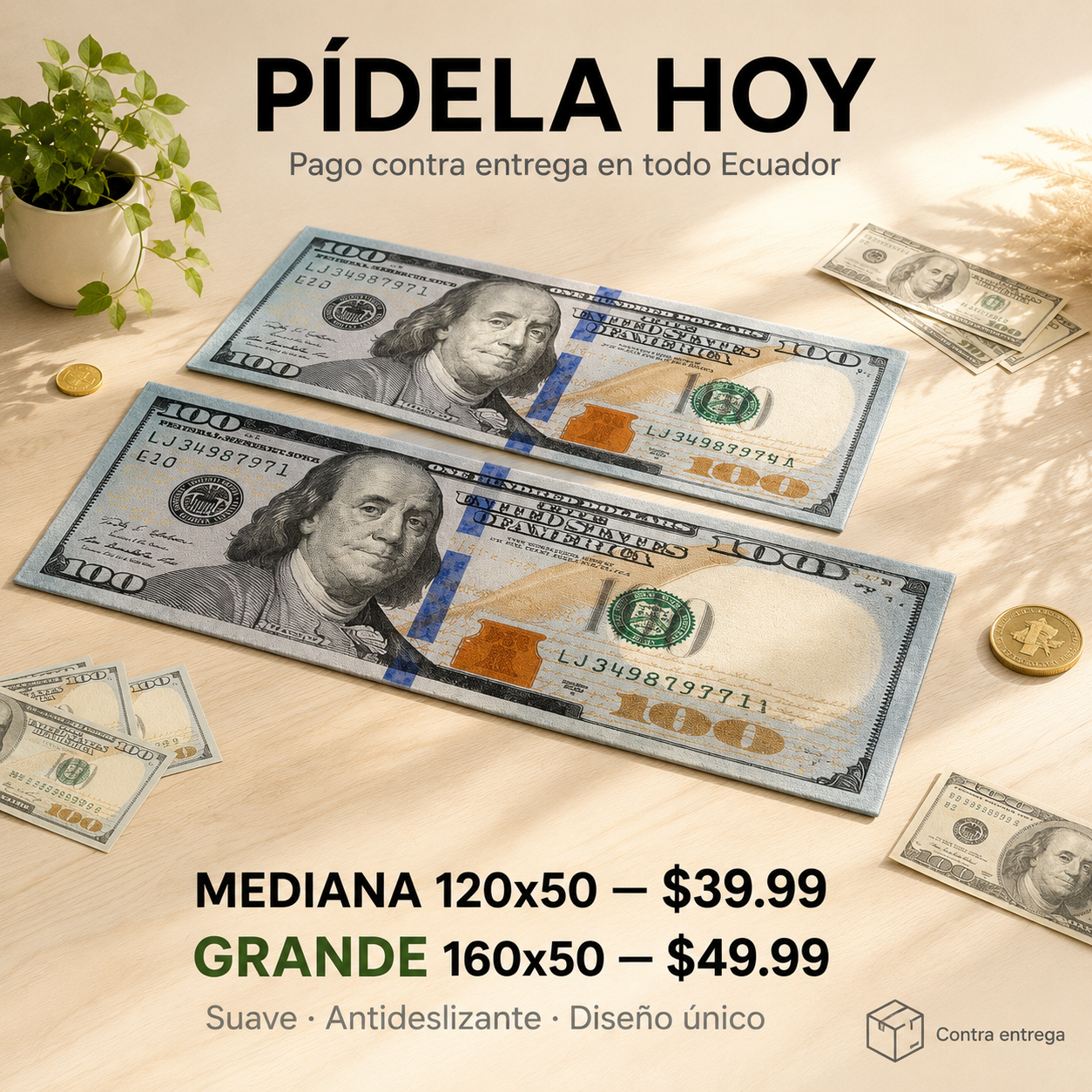 Alfombra Tipo Billete de 100